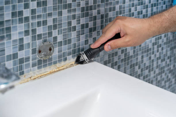 Best Mold Testing  in Weston Lakes, TX