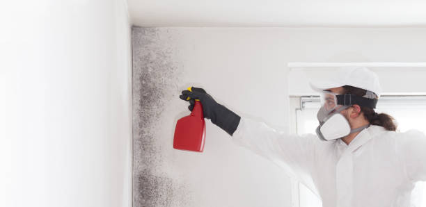 Best Commercial Mold Removal  in Weston Lakes, TX