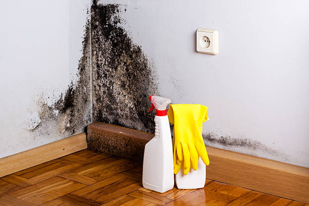 Best Crawl Space Mold Removal  in Weston Lakes, TX